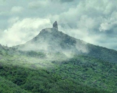 quách tấn bình định