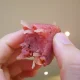 nem chua bình định dì anh