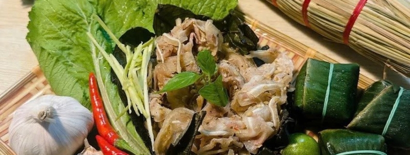 tré bình định